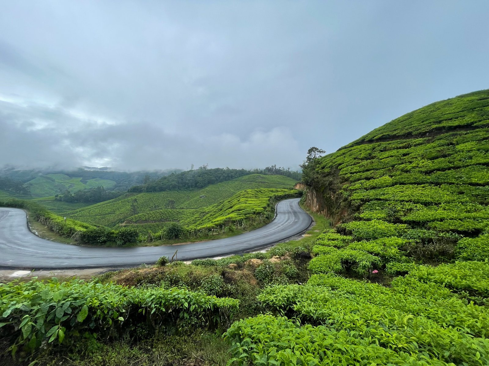 Valparai