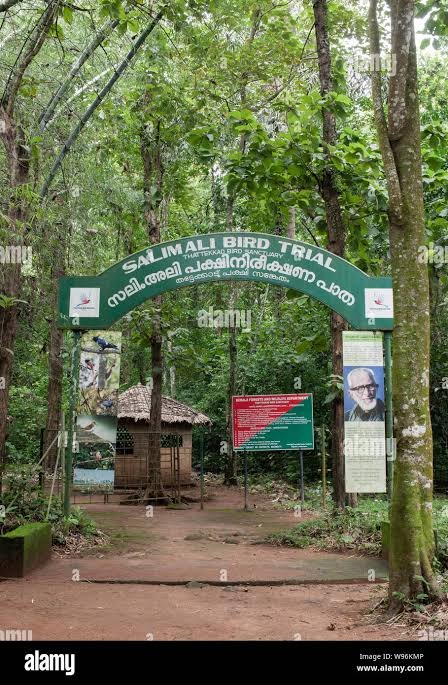 Thattekad Bird Sanctuary