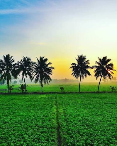 Thanjavur