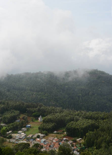 Yarcaud